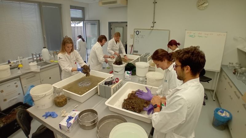 Usavršavanje u okviru Programa...